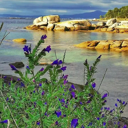 Ravella * Vilagarcia de Arousa